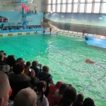 В Санкт-Петербургском дельфинарии